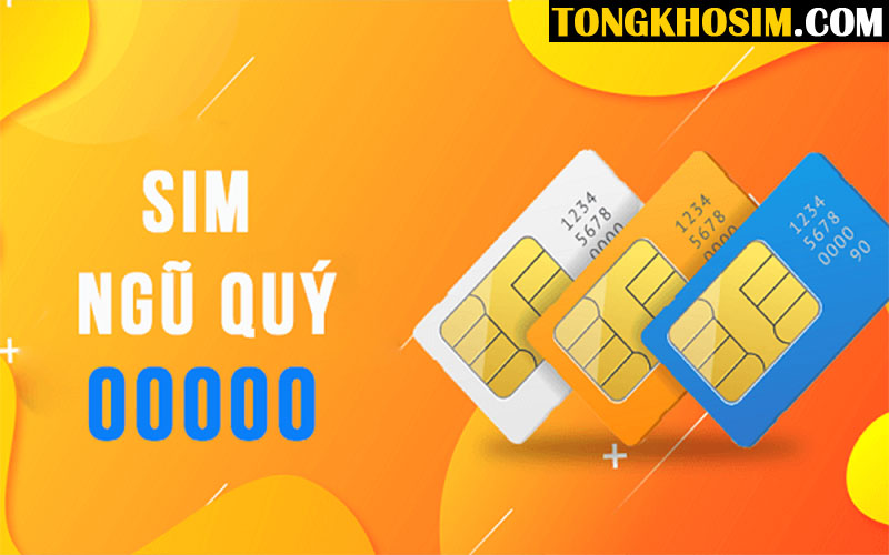 Giải Mã Sim 00000 Nghĩa Là Gì Theo Các Mặt Trong Cuộc Sống