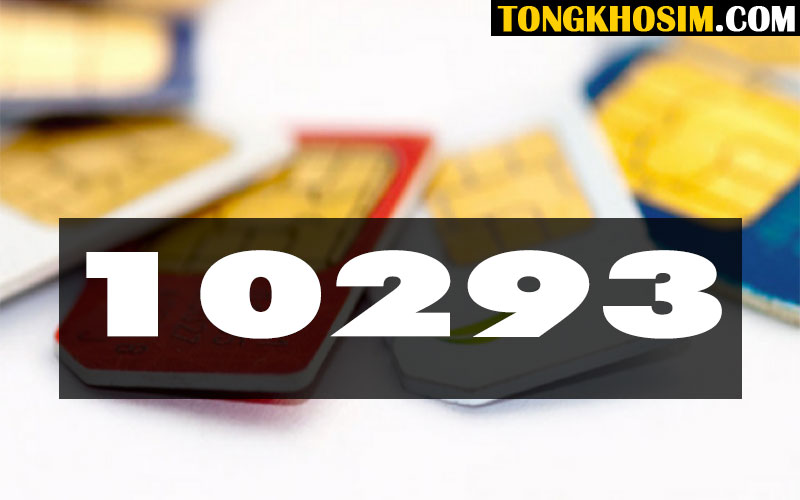 Dãy 10293 Nghĩa Là Gì Trong Phong Thủy Sim Số Đẹp?