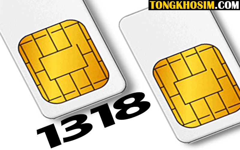 Cùng Chuyên Gia Giải Mã Ý Nghĩa Sim Số Đuôi 1318 Là Gì?