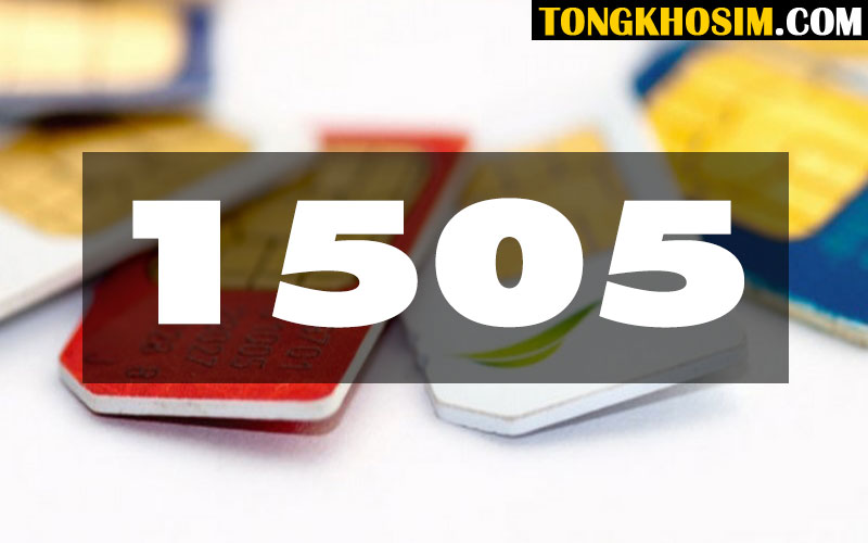 1505 Là Gì? Ý Nghĩa Phong Thủy 1505 Tốt Hay Xấu?