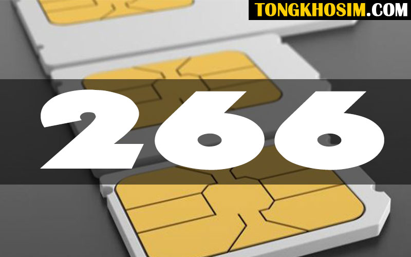 Sim Đuôi 266 Nghĩa Là Gì? Có Đúng Là “Mãi Phát Lộc” Không?