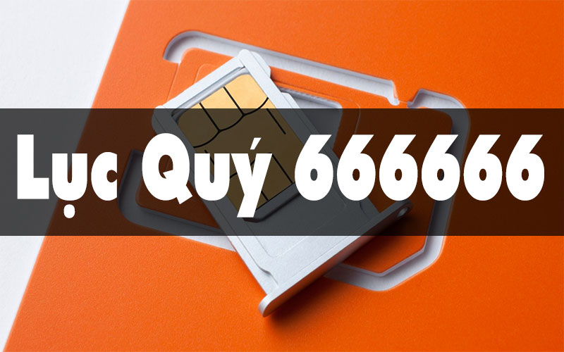 Giải Mã Ý Nghĩa Sim Lục Quý 666666 Trong Phong Thủy