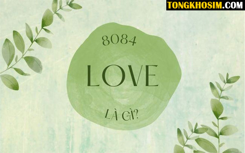 8084 Là Gì? Giải Mã Bí Ẩn Đằng Sau Dãy Số 8084