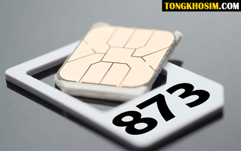 837 Là Gì? Giải Mã Ý Nghĩa Các Con Số Trong Cặp 837