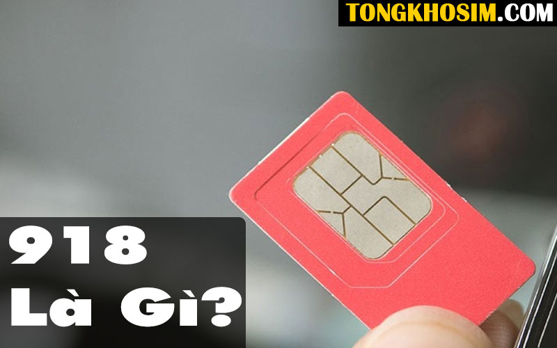 Ý Nghĩa Sim Đuôi 918 Là Gì? Có Phải “Trường Cửu Nhất Phát”?