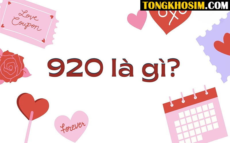 920 Nghĩa Là Gì Trong Sim Số Đẹp? Dãy 920 Là Hung Hay Cát?