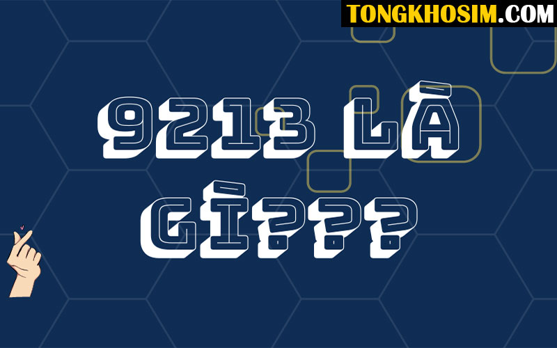 9213 Là Gì? Ý Nghĩa Dãy 9213 Ở Các Khía Cạnh Cuộc Sống