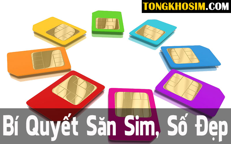 săn sim số đẹp