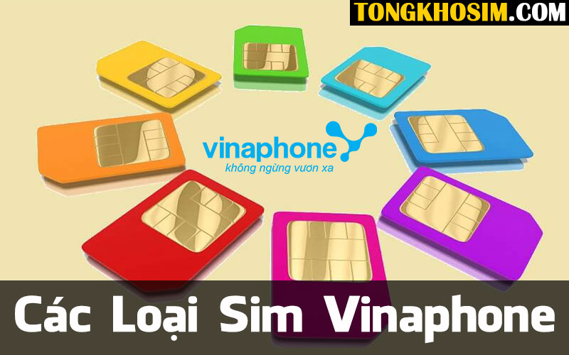 Các Loại Sim Vinaphone Hiện Nay | Cập nhật mới nhất 2025