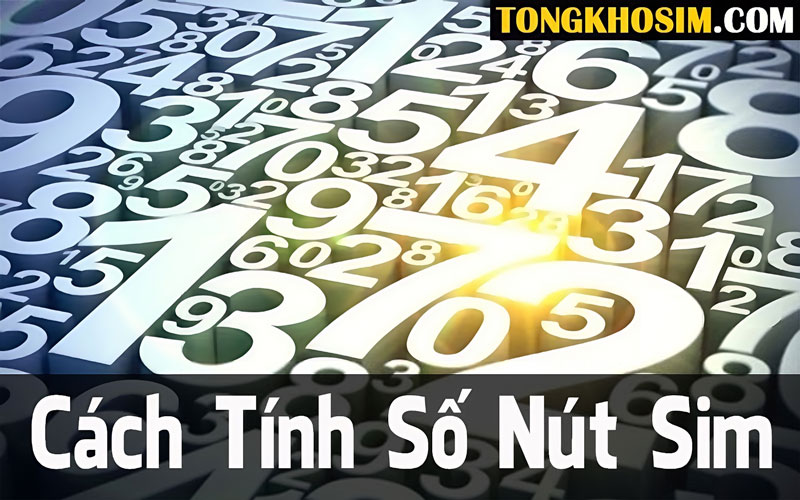 Bật Mí Cách Tính Số Nút Sim Đơn Giản Nhất