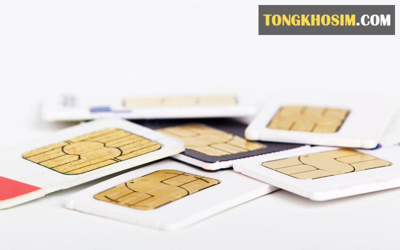 Nếu không đăng ký sim chính chủ có thể bị thu hồi sim Vietnamobile