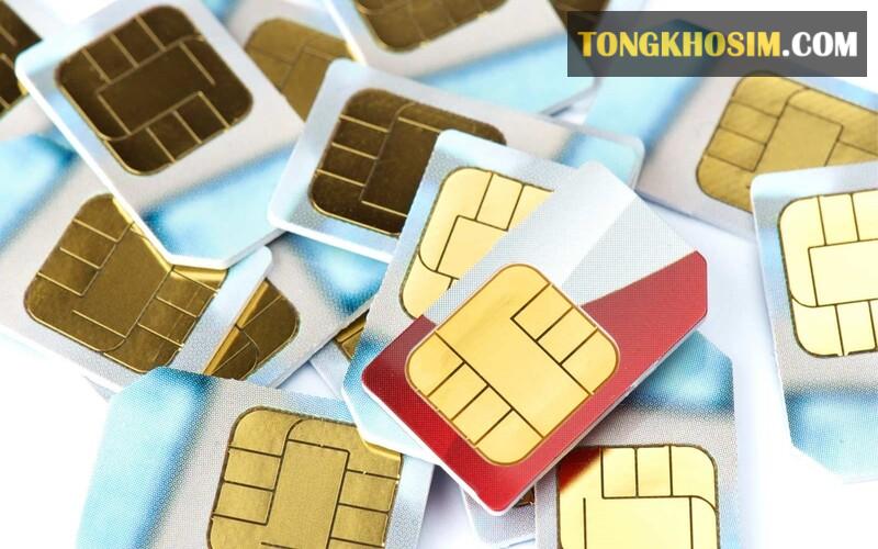 Hướng dẫn cách kiểm tra sim Vietnamobile đã bị thu hồi chưa