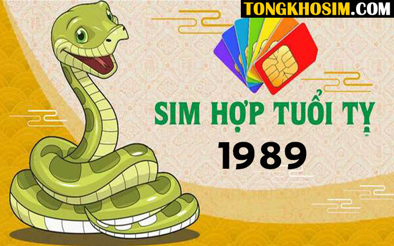 Cách Lựa Chọn Sim Năm Sinh 1989 “Chất Như Nước Cất”
