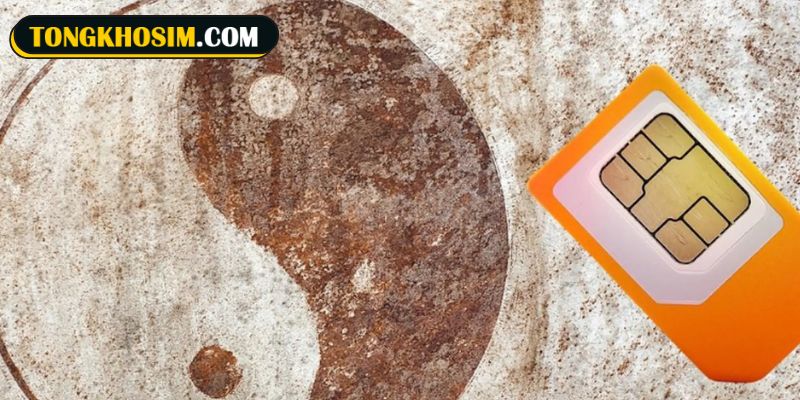 Hướng dẫn xác định sim theo quẻ số 1 Thuần Càn chi tiết