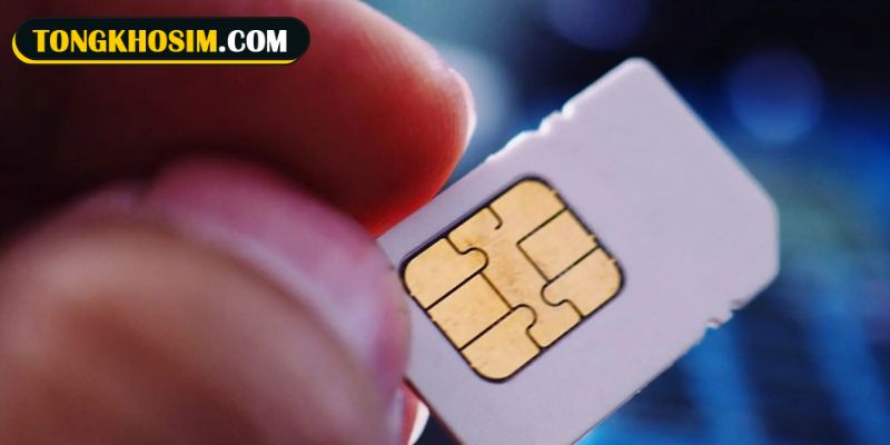 Hướng dẫn chi tiết cách xác định số điện thoại có thuộc quẻ 11 không