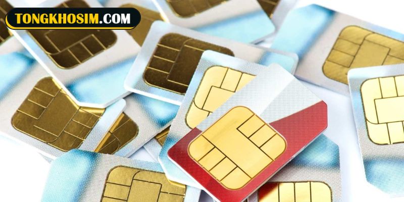 Cách xác định sim số điện thoại có thuộc quẻ 24 hay không dễ dàng