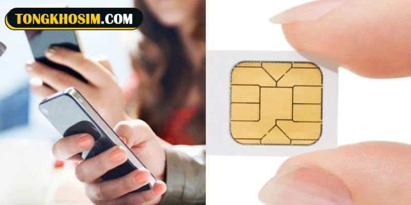 Chi tiết hướng dẫn cách xác định sim theo quẻ 25 Thiên Lôi Vô Vọng