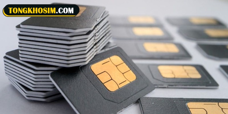 Hướng dẫn chi tiết cách xác định sim theo quẻ số 30 hay không