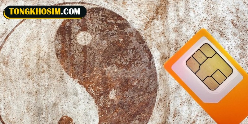 Chi tiết hướng dẫn cụ thể cách xác định sim thuộc quẻ 48 hay không
