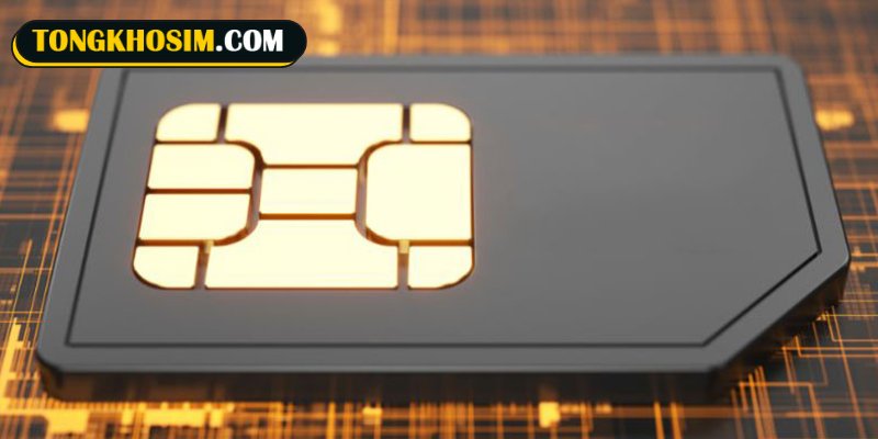 Hướng dẫn cách xác định sim có thuộc quẻ 51 Thuần Chấn không