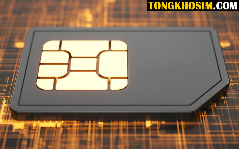 định giá sim
