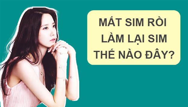 Lam Lai Sim Vina Khong Chinh Chu 3