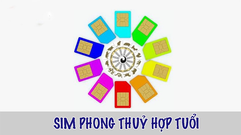 Chon Sim Phong Thuy 1990 Theo Du Nien