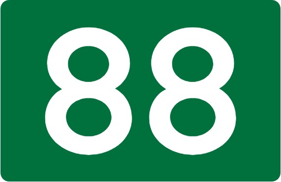 Sim 88