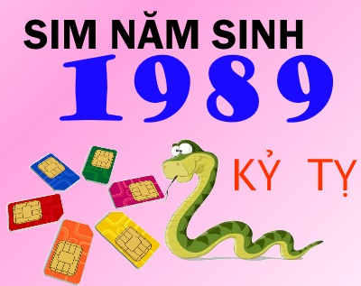 ý nghĩa sim 1989 bạn không nên bỏ qua