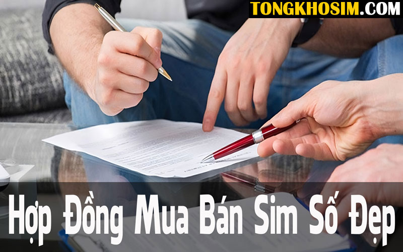 Cách soạn thảo hợp đồng mua bán sim số đẹp tại Tổng Kho Sim