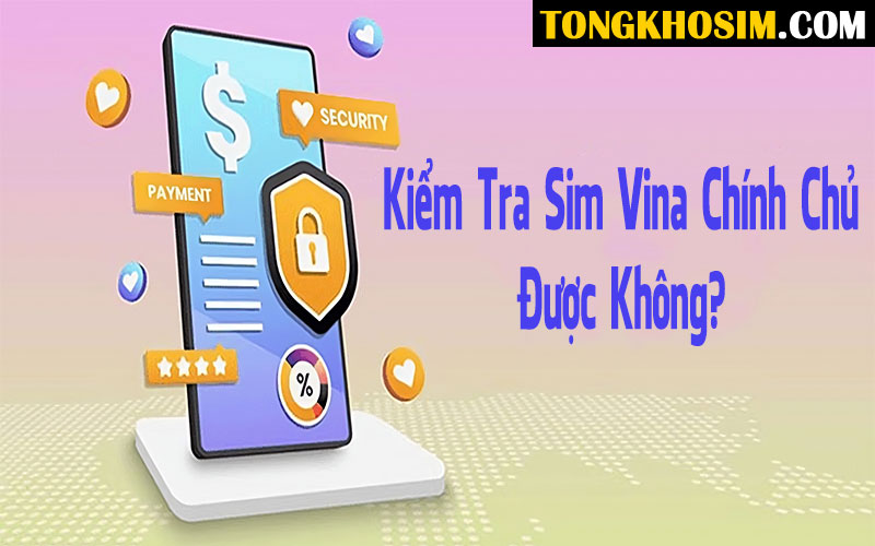 có thể kiểm tra sim vina chính chủ được không