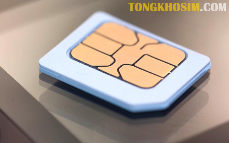 Hướng Dẫn Chi Tiết Cách Kiểm Tra Sim Vina Chính Xác