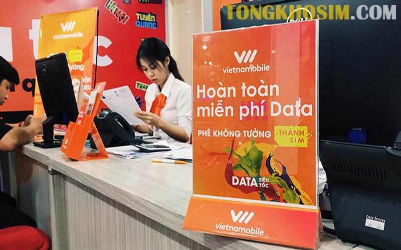 Hướng Dẫn Cách Kiểm Tra Tài Khoản Sim Vietnamobile