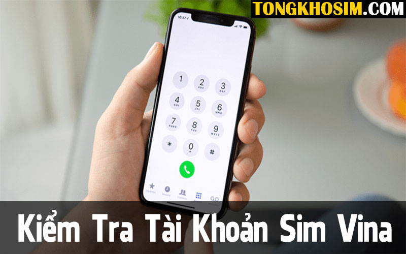 Cách Kiểm Tra Tài Khoản Vinaphone Mới Nhất 2025