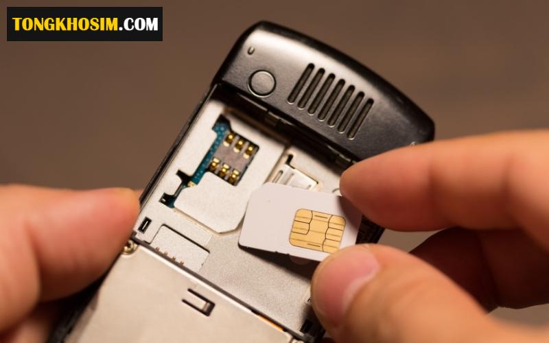 Sim số bị lỗi cũng làm bạn không thể vào được mạng