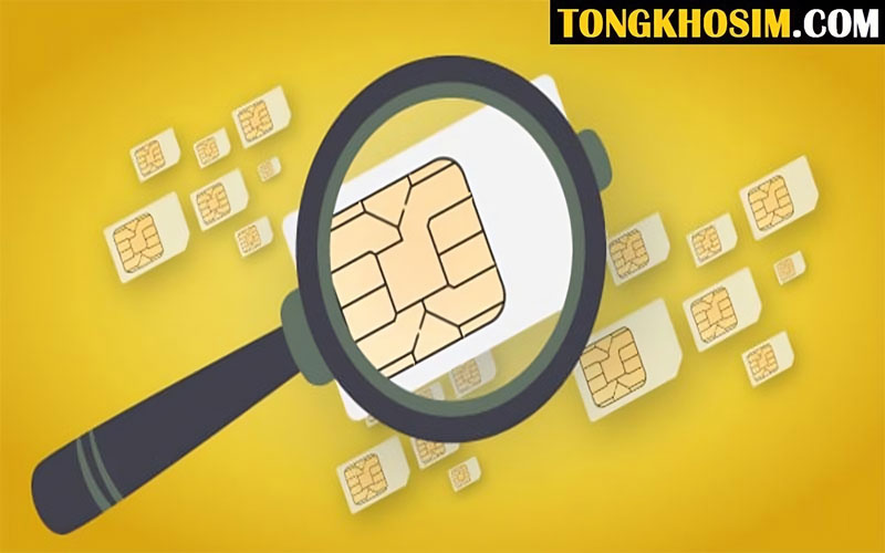 Các Lưu Ý Khi Mua Sim Số Đẹp Không Nên Bỏ Qua