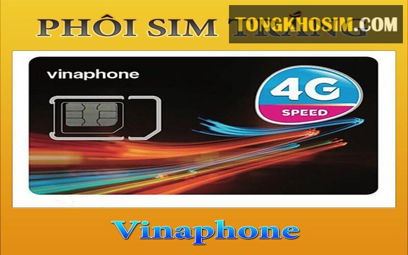 Phôi Sim Vinaphone Là Gì? Mức Giá Phôi Sim Vina Bao Nhiêu?