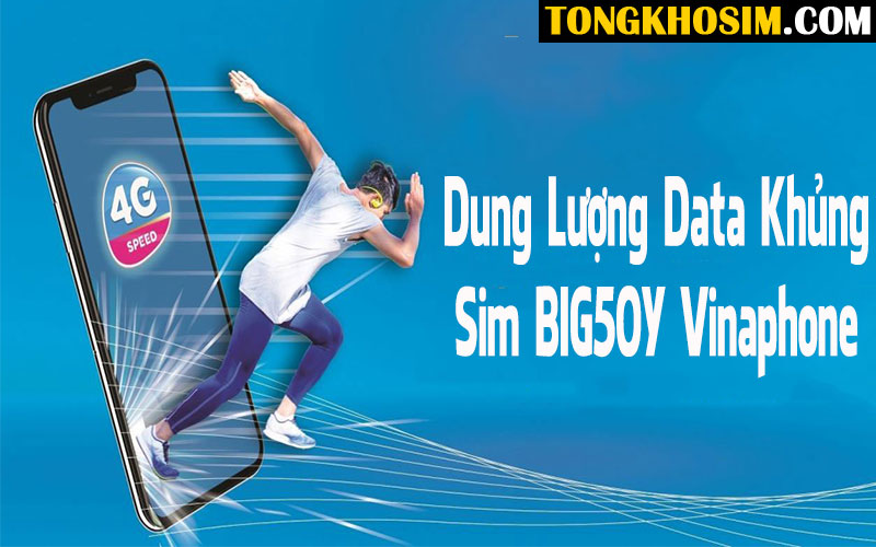 sim vina big50y