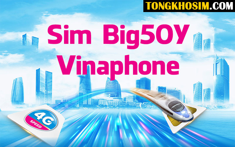 Hướng Dẫn Chi Tiết Cách Đăng Ký Sim BIG50Y Vinaphone