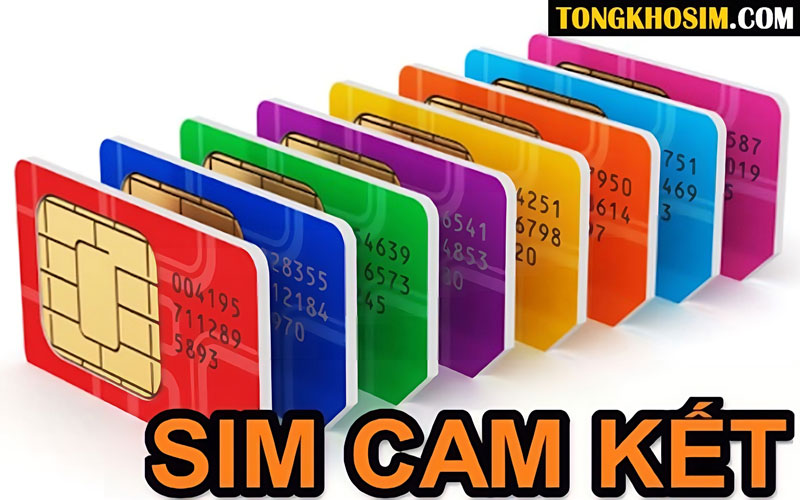 Sim Cam Kết Và Những Lợi Ích Khi Sử Dụng Sim Cam Kết