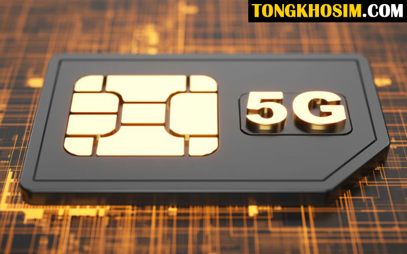 Tham Khảo Ngay Sim Đắt Nhất Việt Nam Được Yêu Thích Nhất