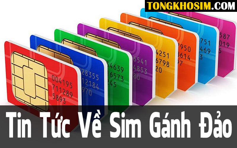Sim số đẹp gánh đảo dễ nhớ tới mức “khó hiểu”