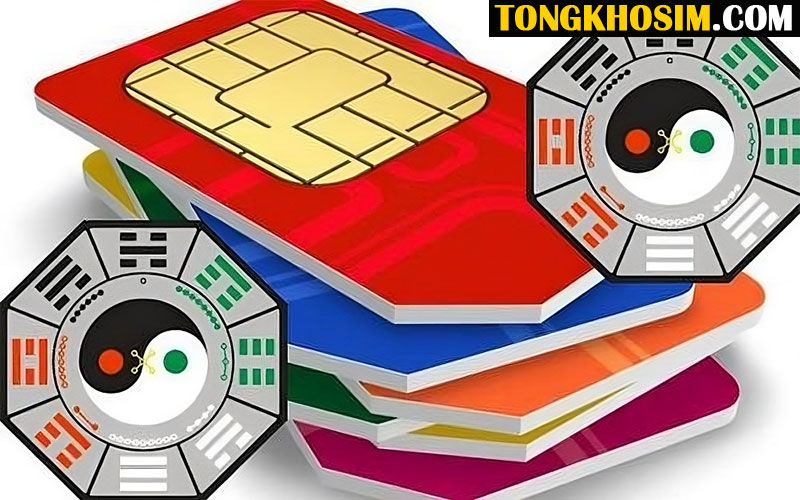 sim phong thủy là gì
