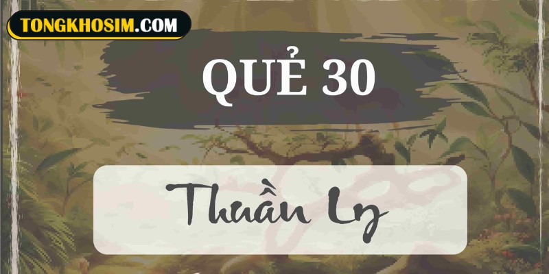Quẻ số 30 Hỏa Vi Ly trong Kinh Dịch