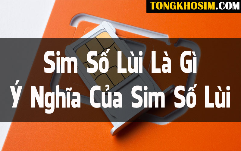 Sim Số Lùi Là Gì? Ý Nghĩa Của Sim Số Lùi Với Người Sử Dụng