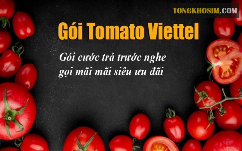 Tất Tần Tật Mọi Thông Tin Về Sim Tomato Viettel