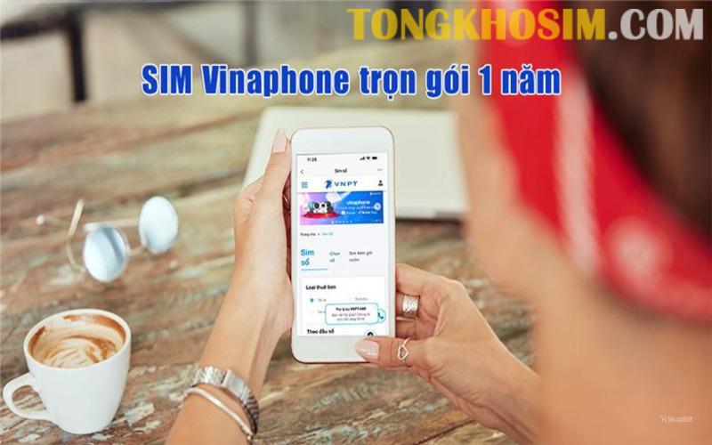 Gói Cước Sim Vào Mạng Vinaphone 250K Vô Cùng Hấp Dẫn