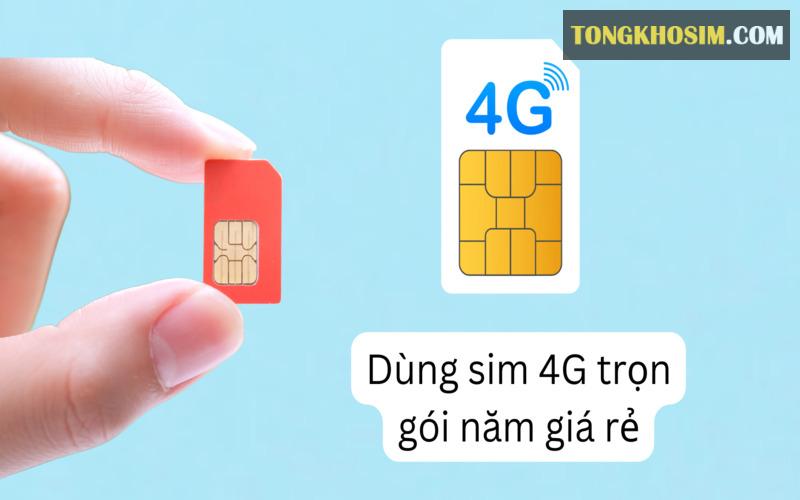 Có nhiều gói sim 4G trọn gói 1 năm Viettel để bạn lựa chọn