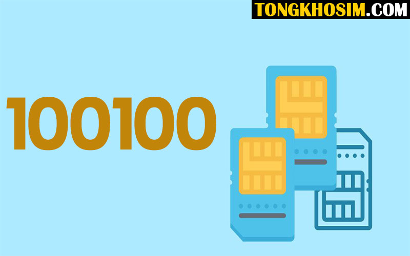 Giải Mã Ý Nghĩa Của Dãy Số 100100 Trong Sim Điện Thoại