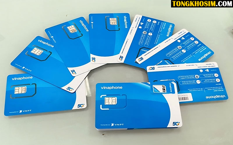Mỗi con số trong số seri có một ý nghĩa riêng